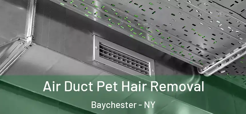 Air Duct Pet Hair Removal Baychester - NY