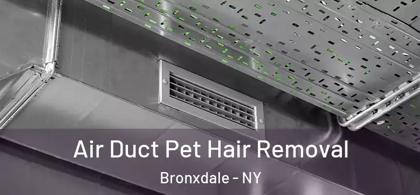 Air Duct Pet Hair Removal Bronxdale - NY