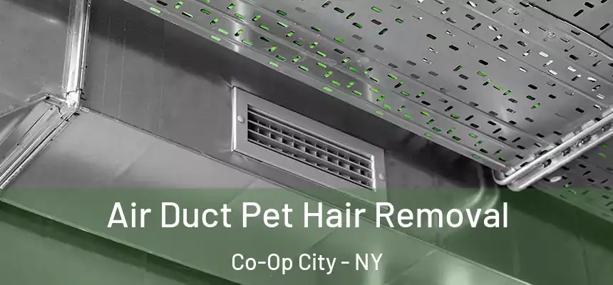  Air Duct Pet Hair Removal Co-Op City - NY