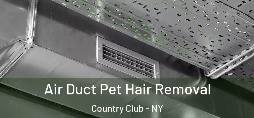 Air Duct Pet Hair Removal Country Club - NY