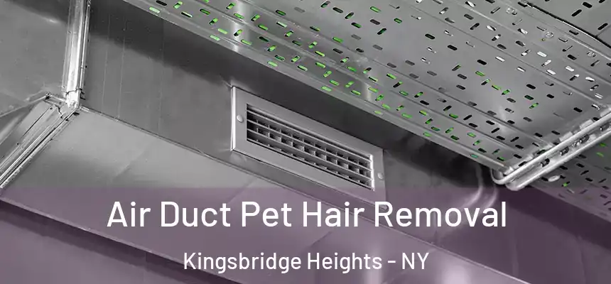Air Duct Pet Hair Removal Kingsbridge Heights - NY