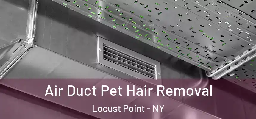 Air Duct Pet Hair Removal Locust Point - NY