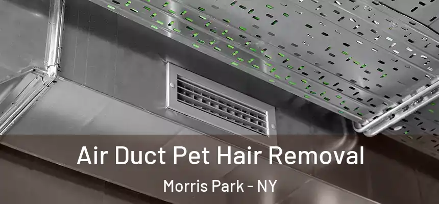 Air Duct Pet Hair Removal Morris Park - NY