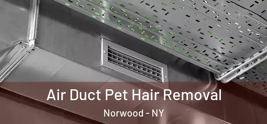 Air Duct Pet Hair Removal Norwood - NY