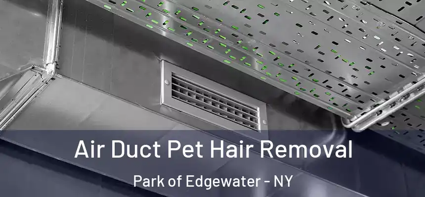 Air Duct Pet Hair Removal Park of Edgewater - NY