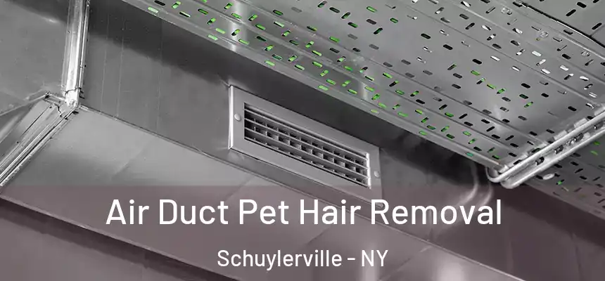 Air Duct Pet Hair Removal Schuylerville - NY