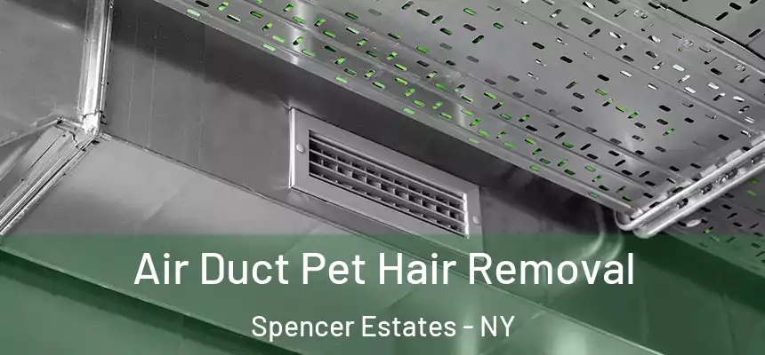 Air Duct Pet Hair Removal Spencer Estates - NY