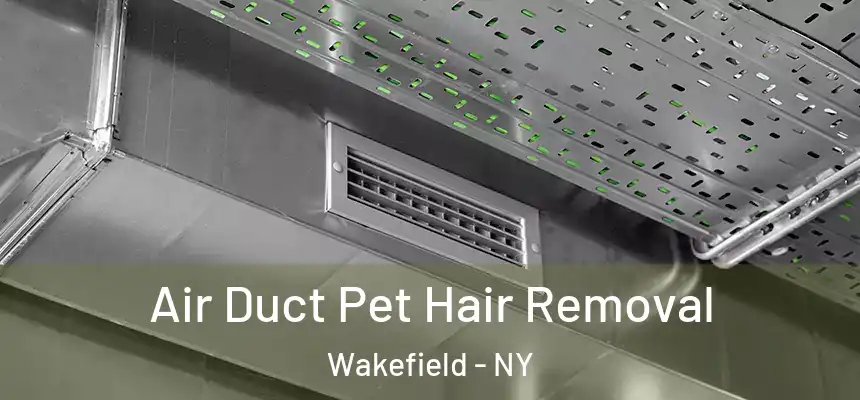 Air Duct Pet Hair Removal Wakefield - NY