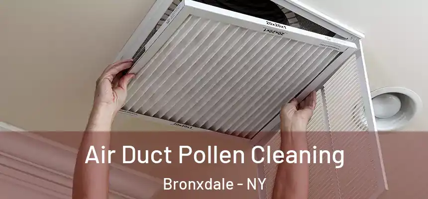 Air Duct Pollen Cleaning Bronxdale - NY