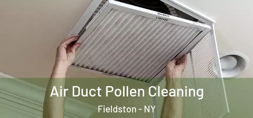  Air Duct Pollen Cleaning Fieldston - NY