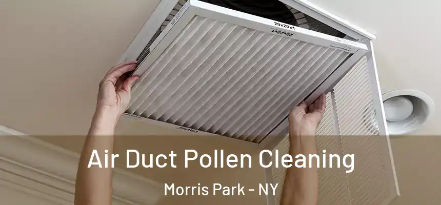  Air Duct Pollen Cleaning Morris Park - NY