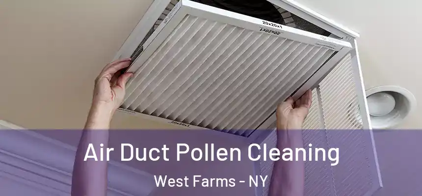  Air Duct Pollen Cleaning West Farms - NY