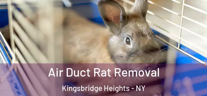 Air Duct Rat Removal Kingsbridge Heights - NY