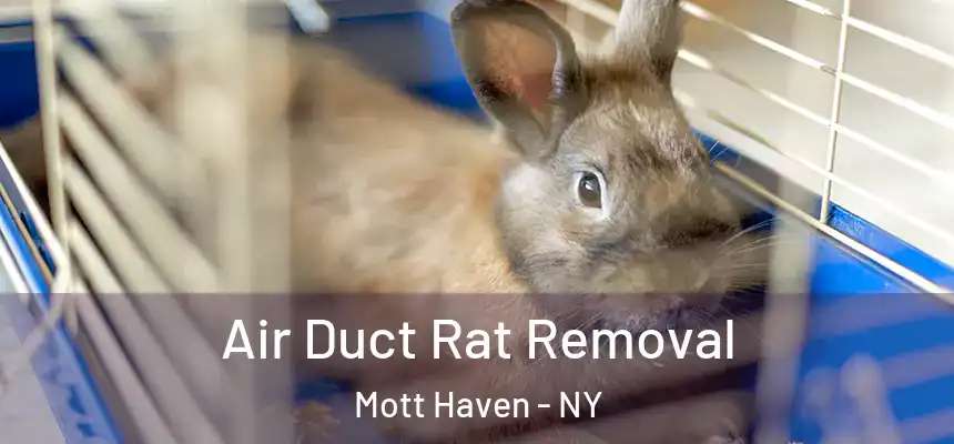 Air Duct Rat Removal Mott Haven - NY