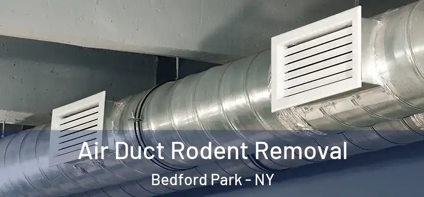 Air Duct Rodent Removal Bedford Park - NY