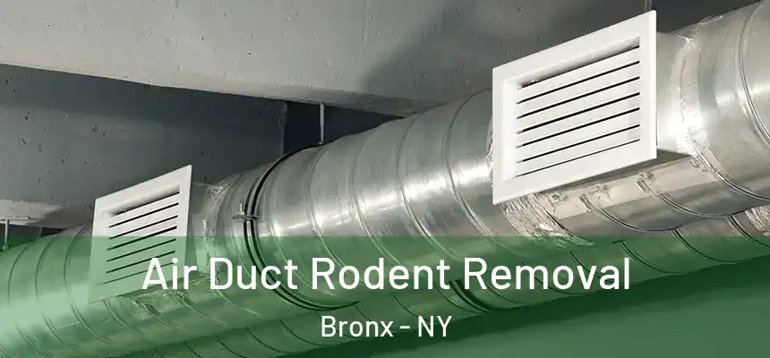  Air Duct Rodent Removal Bronx - NY