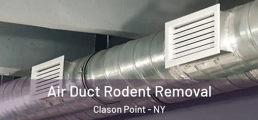 Air Duct Rodent Removal Clason Point - NY