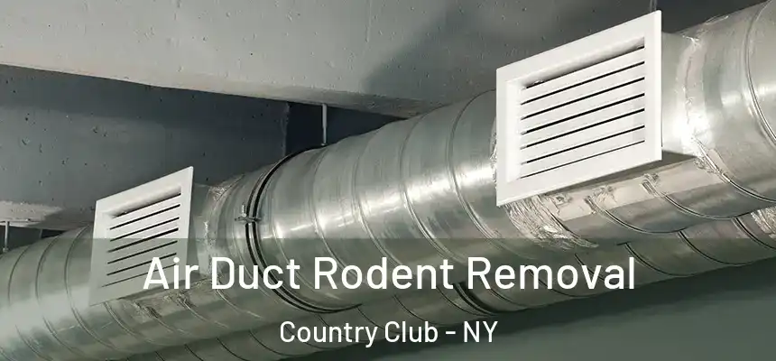 Air Duct Rodent Removal Country Club - NY