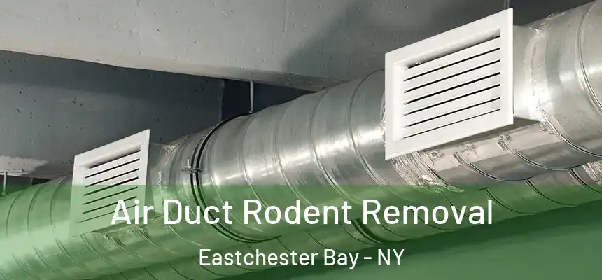  Air Duct Rodent Removal Eastchester Bay - NY
