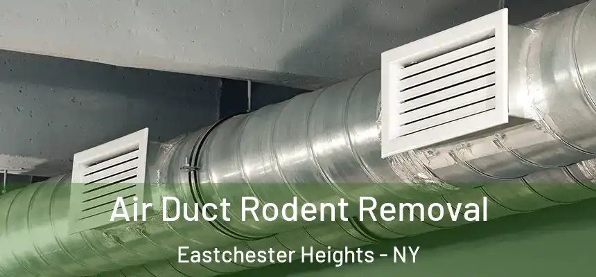  Air Duct Rodent Removal Eastchester Heights - NY