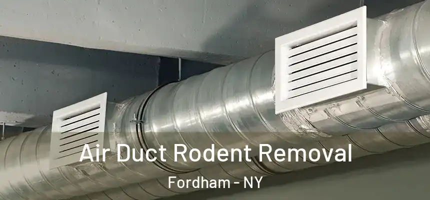  Air Duct Rodent Removal Fordham - NY