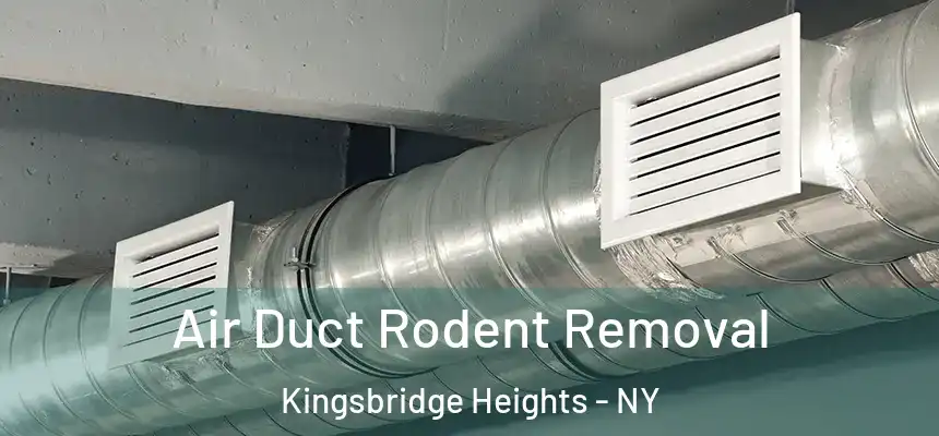 Air Duct Rodent Removal Kingsbridge Heights - NY