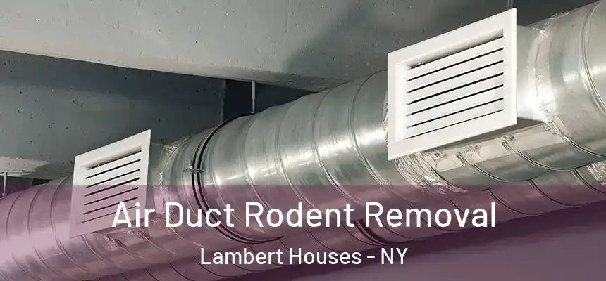  Air Duct Rodent Removal Lambert Houses - NY