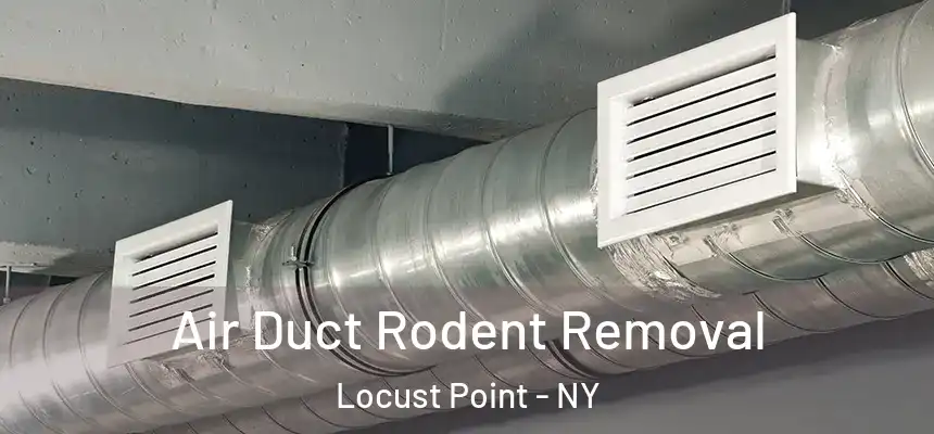 Air Duct Rodent Removal Locust Point - NY