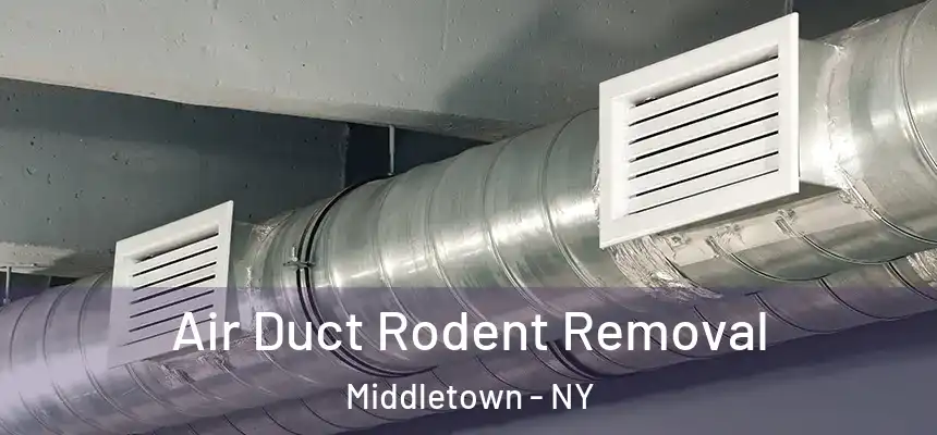 Air Duct Rodent Removal Middletown - NY
