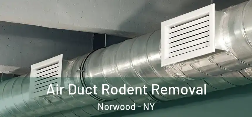 Air Duct Rodent Removal Norwood - NY