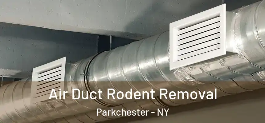 Air Duct Rodent Removal Parkchester - NY
