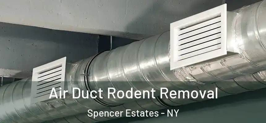 Air Duct Rodent Removal Spencer Estates - NY
