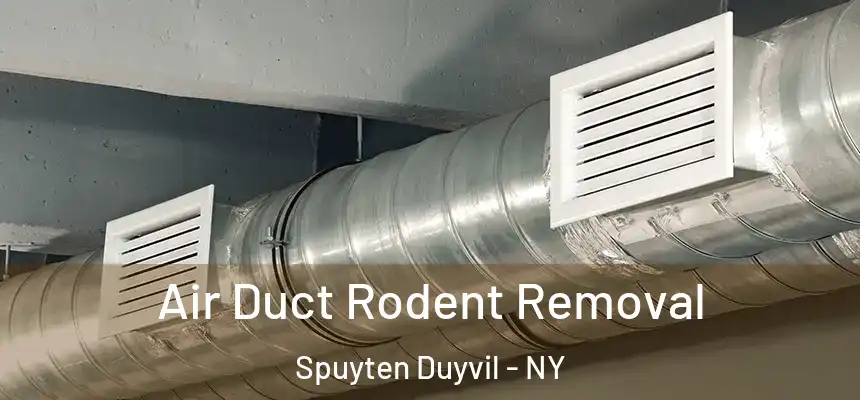 Air Duct Rodent Removal Spuyten Duyvil - NY