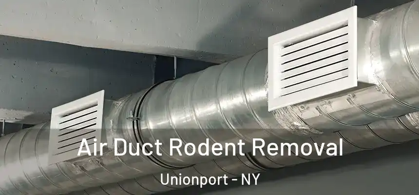 Air Duct Rodent Removal Unionport - NY
