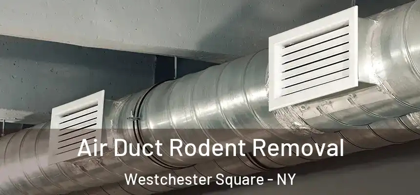 Air Duct Rodent Removal Westchester Square - NY