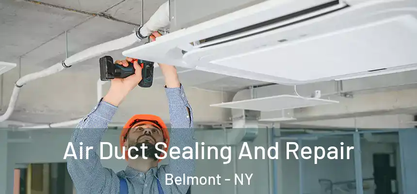 Air Duct Sealing And Repair Belmont - NY