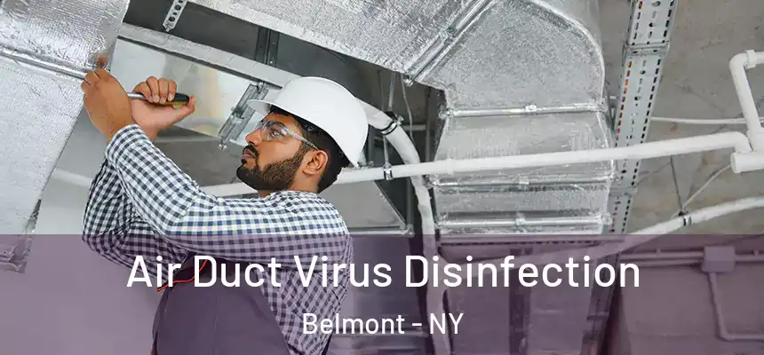  Air Duct Virus Disinfection Belmont - NY