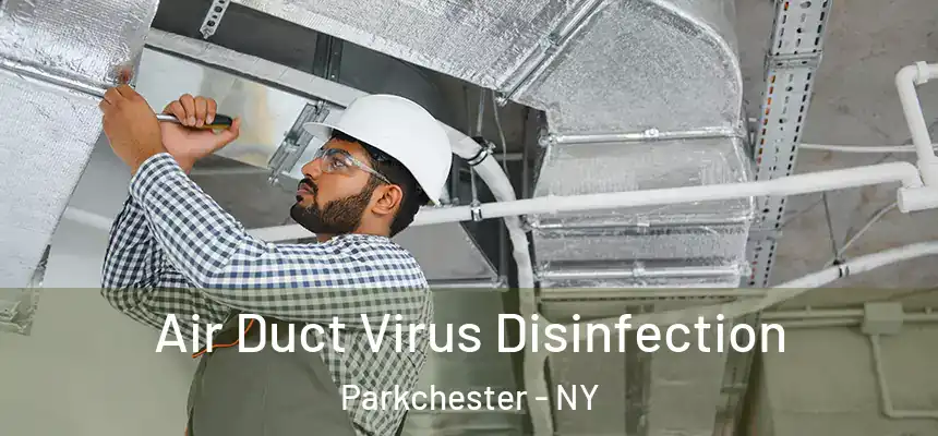 Air Duct Virus Disinfection Parkchester - NY