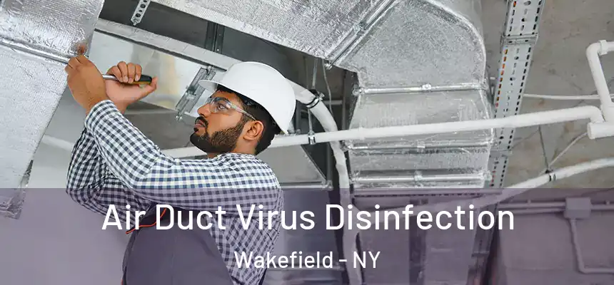  Air Duct Virus Disinfection Wakefield - NY
