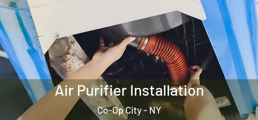  Air Purifier Installation Co-Op City - NY