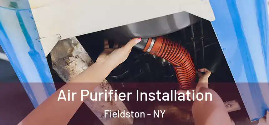 Air Purifier Installation Fieldston - NY