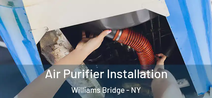  Air Purifier Installation Williams Bridge - NY