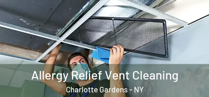 Allergy Relief Vent Cleaning Charlotte Gardens - NY