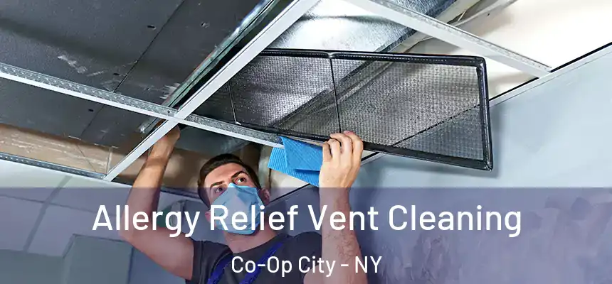 Allergy Relief Vent Cleaning Co-Op City - NY