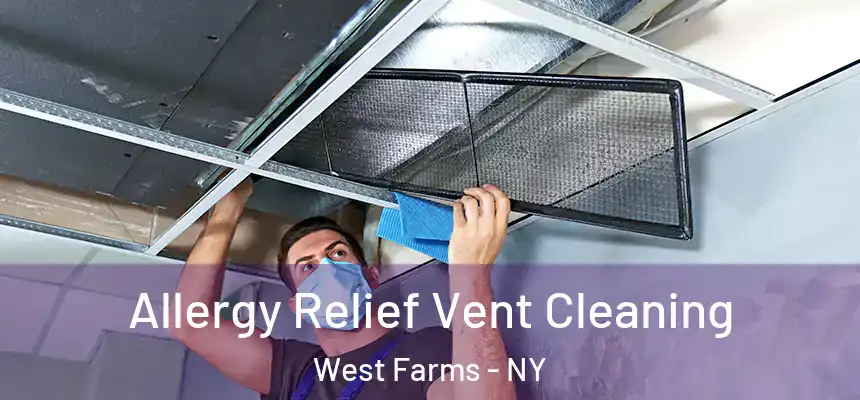 Allergy Relief Vent Cleaning West Farms - NY