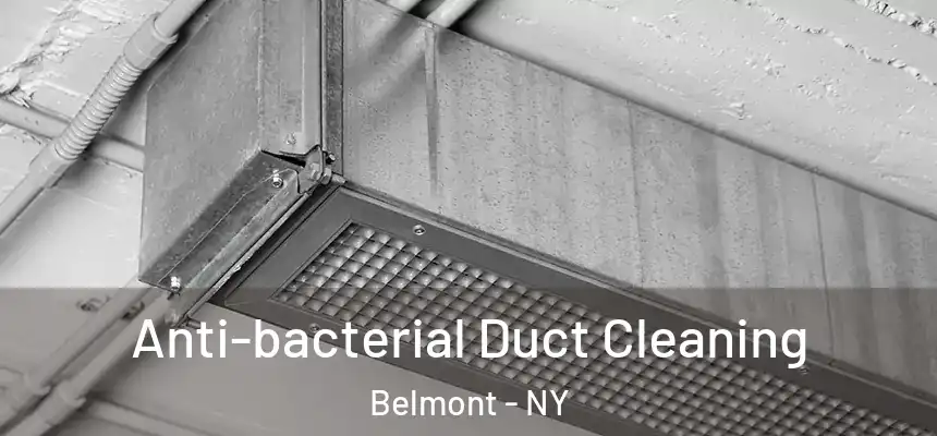 Anti-bacterial Duct Cleaning Belmont - NY