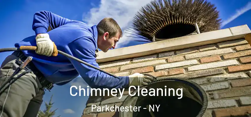  Chimney Cleaning Parkchester - NY