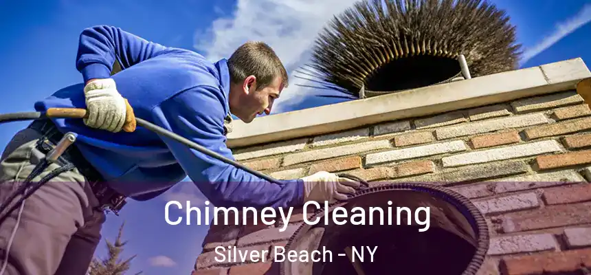 Chimney Cleaning Silver Beach - NY