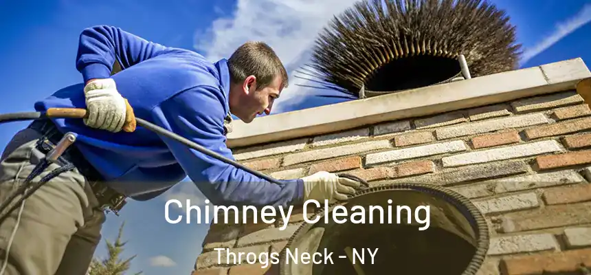 Chimney Cleaning Throgs Neck - NY