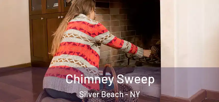 Chimney Sweep Silver Beach - NY
